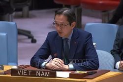 Việt Nam kêu gọi thực hiện đầy đủ thỏa thuận về Dải Gaza và thúc đẩy hòa bình toàn diện tại Trung Đông