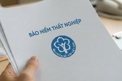Đang hưởng trợ cấp thất nghiệp mà có việc làm mới, người lao động cần làm gì?