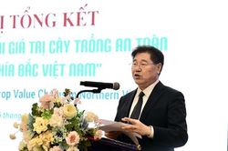 Nhật Bản hỗ trợ Việt Nam phát triển chuỗi giá trị cây trồng an toàn