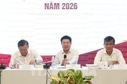 Thực thi chính sách hiệu quả để doanh nghiệp Đồng bằng sông Cửu Long bứt phá