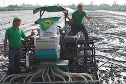 Doanh nghiệp Thương hiệu quốc gia: Nâng tầm giá trị nông nghiệp Việt