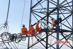 Thế giới tổ chức ngành điện và định giá điện thế nào? Kỳ 2 - Truyền tải điện: Giữ vai trò Nhà nước, bảo đảm trung lập