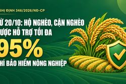 Từ 20/10: Hộ nghèo, cận nghèo được hỗ trợ tối đa 95% phí bảo hiểm nông nghiệp.