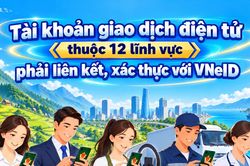 [Infographic] - Tài khoản giao dịch điện tử thuộc 12 lĩnh vực phải liên kết, xác thực với VNeID