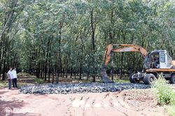 Long Hà tạo sinh kế, giữ bình yên