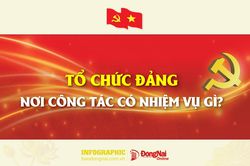 [Infographic] Tổ chức đảng nơi công tác có nhiệm vụ gì?