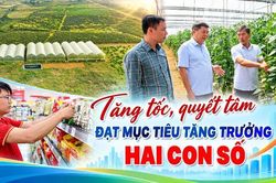 Tăng tốc, quyết tâm đạt mục tiêu tăng trưởng hai con số