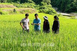 Hua Bum giảm bình quân 3-4% hộ nghèo mỗi năm