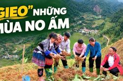 "Gieo" những mùa no ấm
