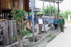 Khi lòng dân đồng thuận