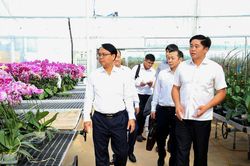 Phó Bí thư Thường trực Tỉnh ủy Lâm Đồng Đặng Hồng Sỹ thăm doanh nghiệp trồng hoa lan
