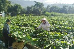Tam Dương Bắc chung sức xây dựng nông thôn mới