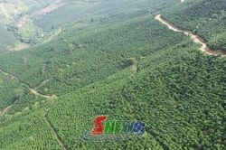 Hương cà phê gọi bốn phương