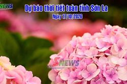 Dự báo thời tiết toàn tỉnh Sơn La ngày 17/10/2026