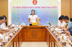 Khẩn trương hoàn tất các khâu chuẩn bị Festival Trà Quốc tế - Thái Nguyên 2026