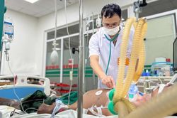 Nhiều ca sốc nhiễm khuẩn, suy đa tạng do nhiễm liên cầu lợn