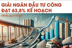 Infographics: Giải ngân vốn đầu tư công cả nước đạt 652.125,4 tỷ đồng