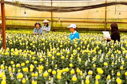 Gỡ điểm nghẽn, tái cơ cấu quỹ tín dụng nhân dân