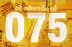 Vietnam Post trúng đấu giá đầu số di động 075 với giá 2,75 tỷ đồng