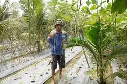Trao vốn sinh kế, tiếp sức nạn nhân da cam vươn lên