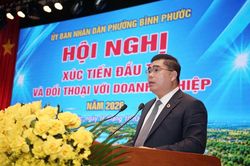 Chủ tịch Hội Doanh nhân trẻ TP.HCM Phan Tấn Đạt gợi mở hướng hút vốn cho Bình Phước