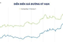 Giá đường tăng, đồng giảm mạnh