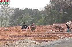 Bộ Nông nghiệp và Môi trường giải đáp điều kiện tách thửa đất không giáp đường công cộng