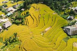 Mùa vàng Xà Phìn hút khách giữa núi rừng Tây Côn Lĩnh
