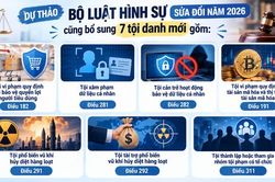 Bộ Công an đề xuất bổ sung 7 tội danh mới trong Bộ luật Hình sự (sửa đổi)