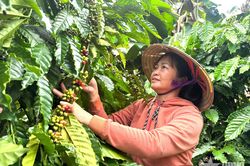 Những nữ nông dân thay đổi tư duy, làm chủ ruộng vườn