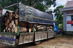 Tạm giữ 2 'lâm tặc'