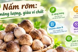 Nấm rơm ít năng lượng, giàu vi chất, cách chế biến bổ dưỡng