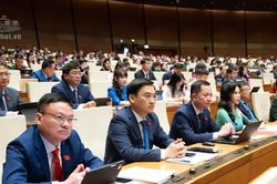 Quốc hội giám sát việc giải quyết kiến nghị của cử tri gửi đến Kỳ họp thứ Nhất: Tỷ lệ trả lời đạt 99,9%