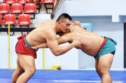 Ninh Bình giành 2 Huy chương Vàng tại Giải Vật dân tộc Quốc gia