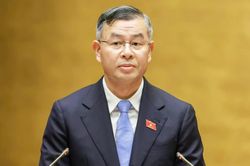 Đề xuất cơ chế quản trị tối giản cho 'doanh nghiệp một người'
