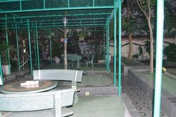 Không có dấu hiệu tội phạm vụ bé trai lớp 1 ngã tử vong ở Hải Phòng