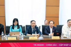 Đề xuất giải ph&aacute;p n&acirc;ng cao hiệu quả quản l&yacute; bưu ch&iacute;nh, đo lường