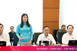 ĐBQH đoàn Hà Tĩnh đóng góp ý kiến tâm huyết vào các dự án luật trình Quốc hội