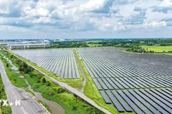 Nghị quyết 70 mở đường cho Tây Ninh bứt phá thành trung tâm năng lượng tái tạo