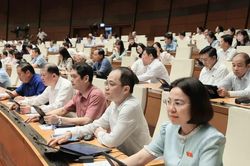 Đại biểu Quốc hội: Muốn luật 'sạch' quy tr&igrave;nh phải s&aacute;ng r&otilde;