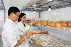 Ngày Phụ nữ Việt Nam 20/10: Khởi nghiệp và lan tỏa giá trị tốt đẹp