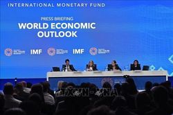 IMF: Bảo vệ các nhóm dễ bị tổn thương trước sức ép đối với kinh tế toàn cầu
