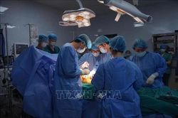Tri ân gia đình cô giáo hiến tạng cứu người