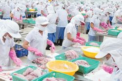 Thủy sản Mekong chật vật trong quý III, doanh thu mất hơn 62%