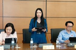 Đại biểu Quốc hội Trần Lan Phương: Cần hỗ trợ doanh nghiệp nhỏ và vừa phát triển thực chất