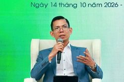 Giá trị tín chỉ carbon không chỉ nằm ở quy mô giao dịch