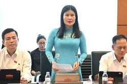 Đại biểu Quốc hội góp ý hoàn thiện Luật Phát triển doanh nghiệp nhỏ và vừa