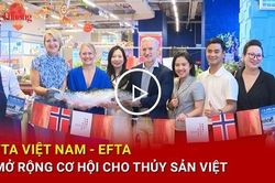 FTA Việt Nam - EFTA: Mở rộng cơ hội cho thủy sản Việt