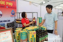 Phát triển kinh tế tư nhân tại xã ven biển