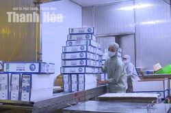 Xuất khẩu trước &aacute;p lực về đ&iacute;ch